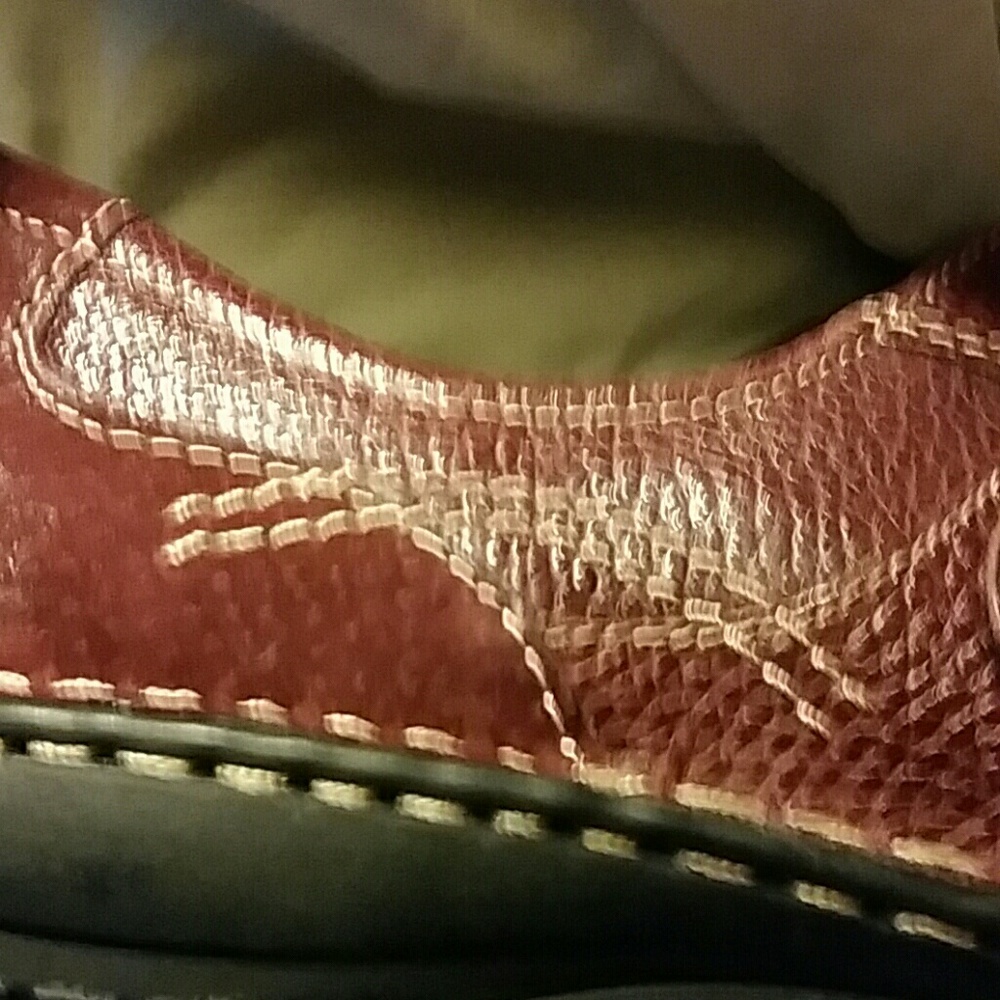 Shoes - Picture 6 of 7